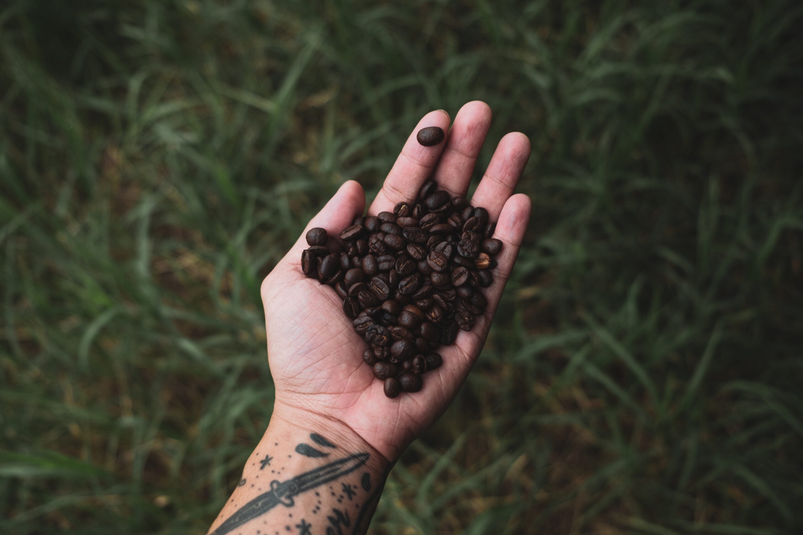 Premium Roasted coffee beans on background