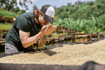 sourcing-green-beans